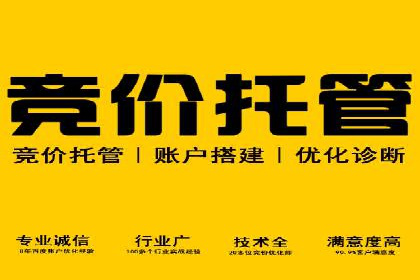 案例分享：专业SEM托管助力企业提升品牌形象
